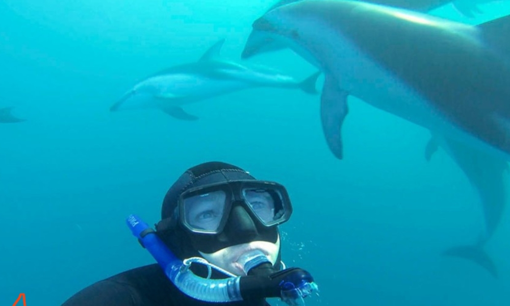 Swimming with dolphins underwater in Kaikoura