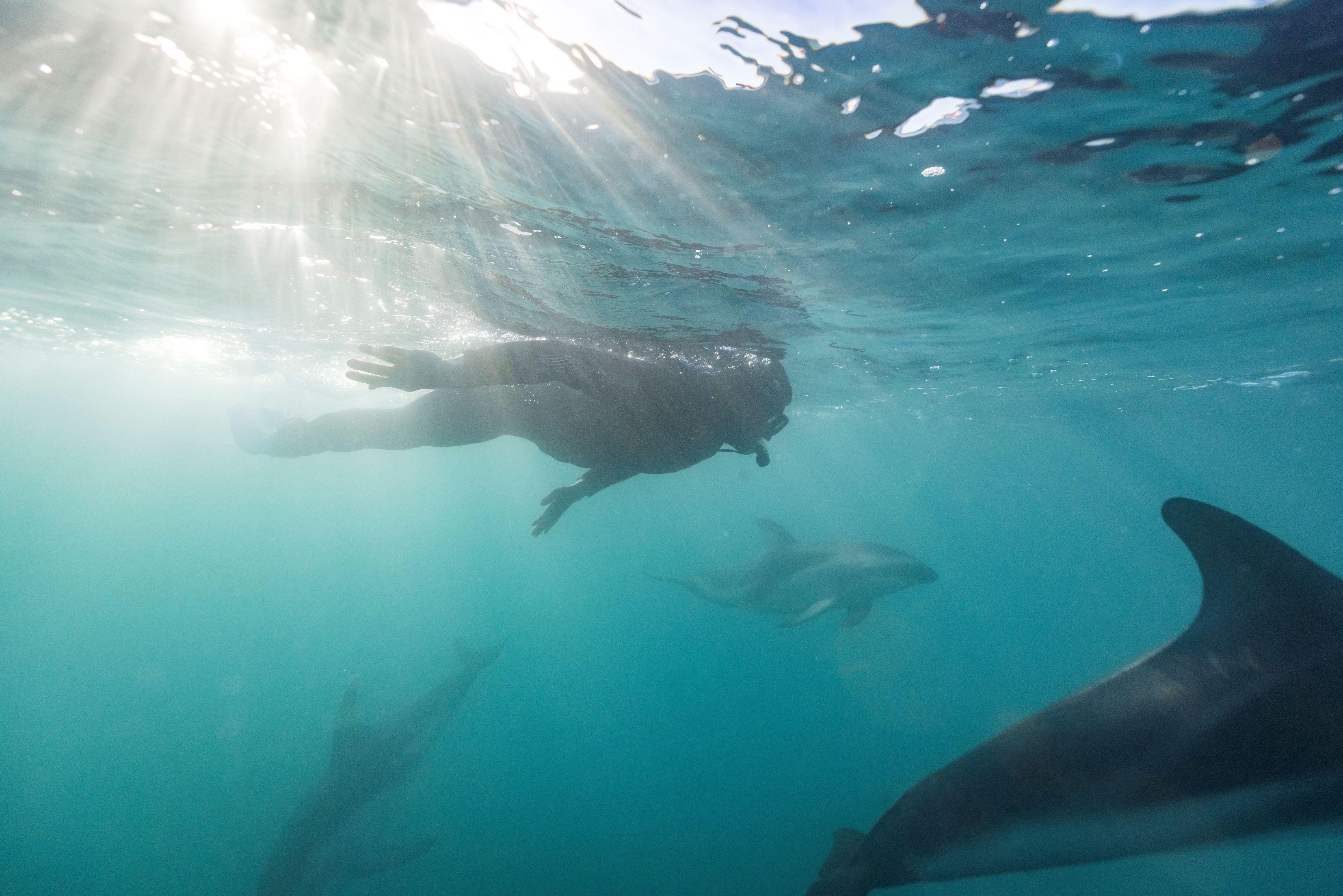 Scuba diving in crystal clear Kaikoura waters