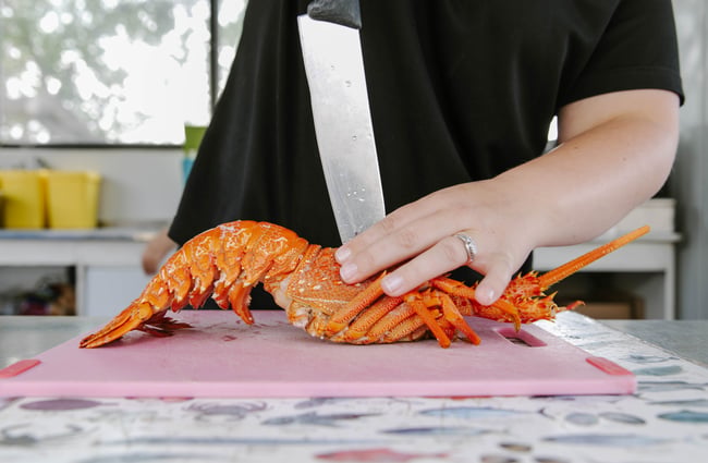 Close-up of a fresh crayfish