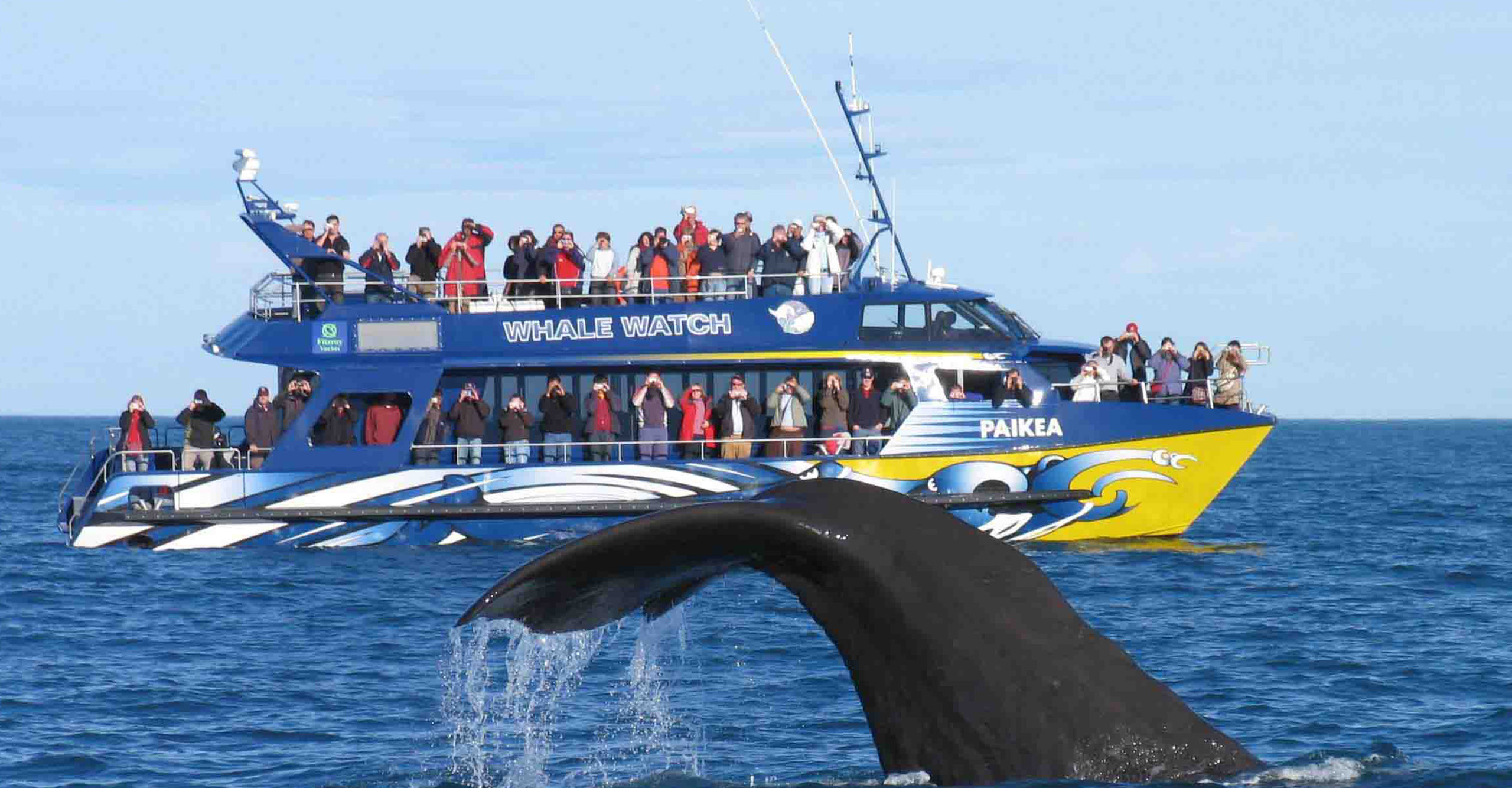 Kaikoura